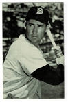 1960s Yankee Stadium Postcard Ted Williams